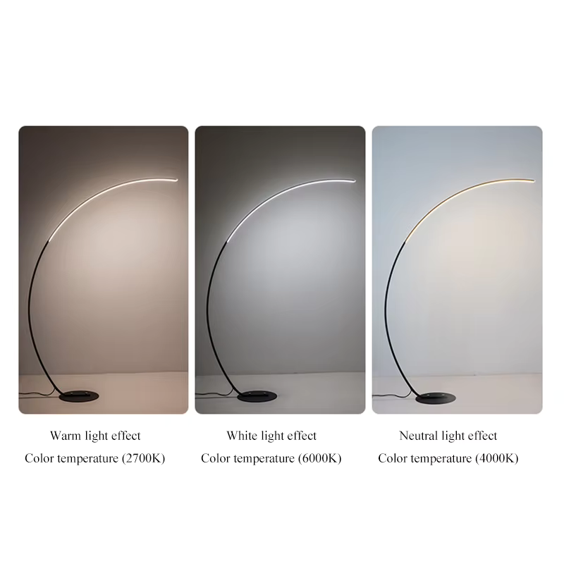 Arc-Shaped Nordic LED Floor Lamp
